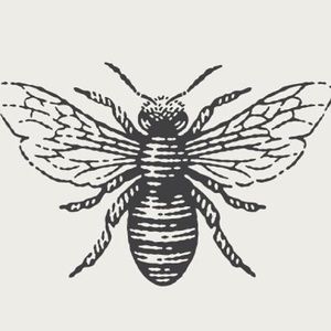 Meet your Posher, Mackenzie